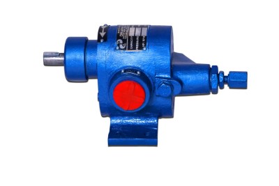 Rotary gear pump